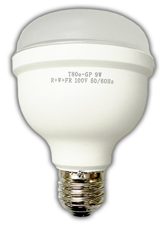 LED電球