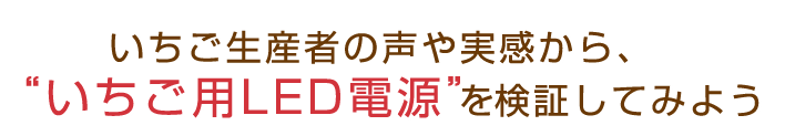 生産者の声 いちご生産者の声や実感から、“いちご用LED電球”を検証してみよう