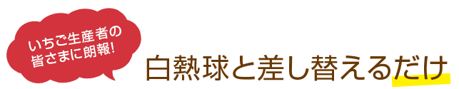 いちご生産者の皆さまに朗報！白熱球と差し替えるだけ